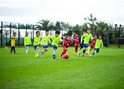 曼聯以,完勝愛華頓,阿莫林率領,开云体育,开云体育官网,开云体育app,开云体育app下载