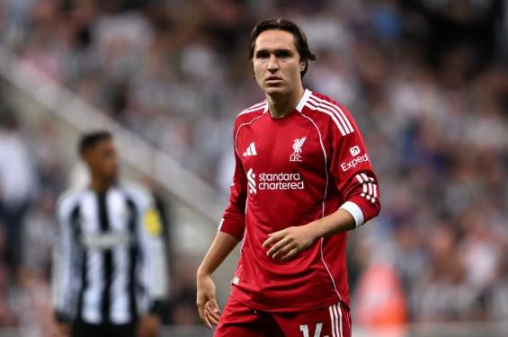 法国国脚世,界杯晋级奖,金解析,开云体育,开云体育官网,开云体育app,开云体育app下载