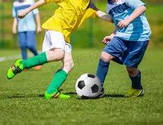 激情对决,免费直击,欧塞尔主场,开云体育,开云体育官网,开云体育app,开云体育app下载