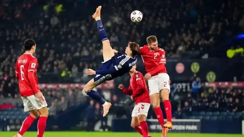 强化“三农”基础，助力乡村振兴全面提速